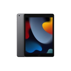 Apple iPad 9th Generation (Late 2021) 10.2" 256GB Wifi - Space Gray Apple iPad 9th Generation (Late 2021) 10.2" 256GB Wifi - Space Gray